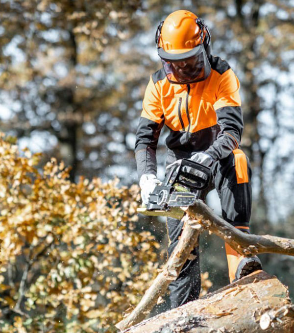 Tree Felling Uxbridge | Out of The Ground