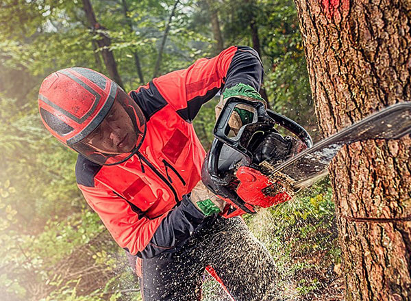 Tree Felling in Bracknell | Out Of The Ground